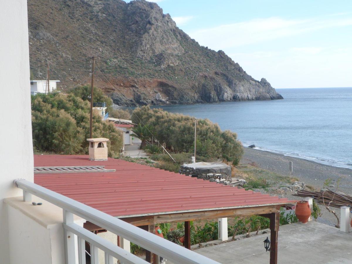 Great Eastern Studios Λέντας Εξωτερικό φωτογραφία